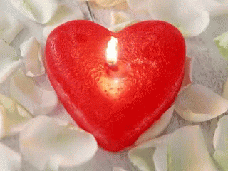 Love Heart GIF - Love Heart Candle GIFs