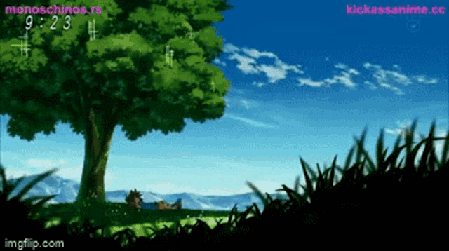 a screenshot of a tree with the time of 9:23 on it