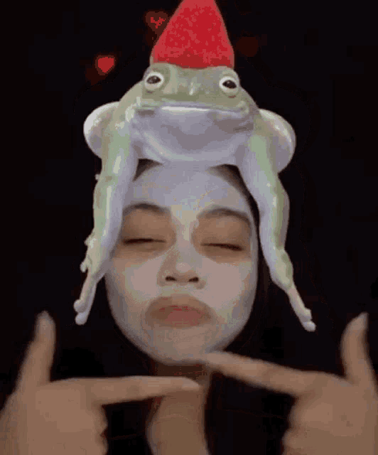 a woman with a frog on her head and a strawberry on her hat .