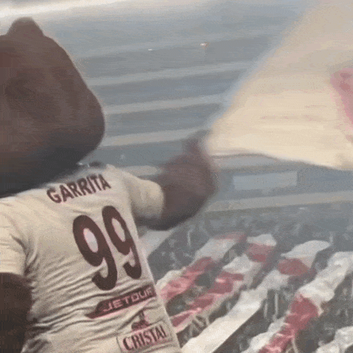 a mascot wearing a number 99 jersey waves a flag