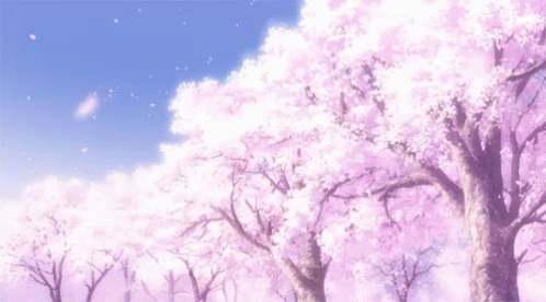 日本　桜 GIF