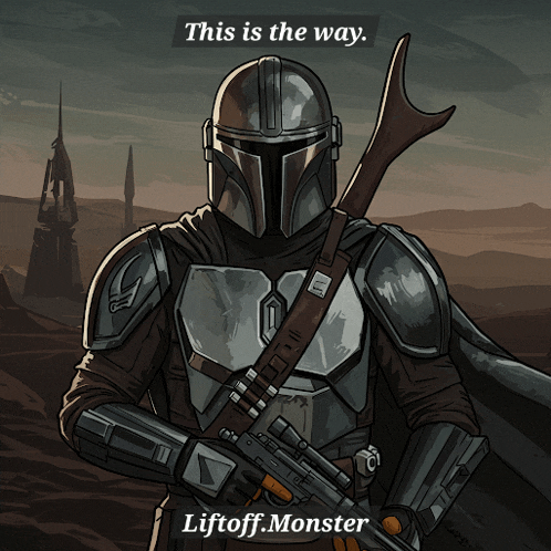 a man in armor holding a gun with the words this is the way on the bottom