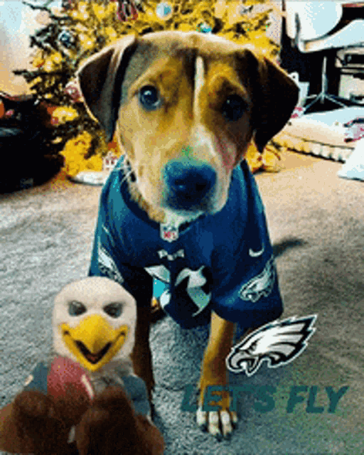 Underdogs Fly Eagles Fly GIF