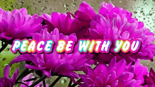 purple flowers with the words peace be with you