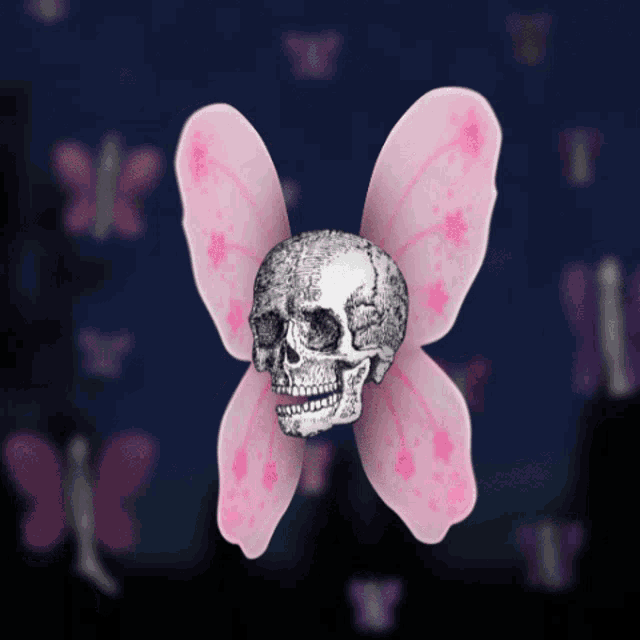 a butterfly with a skull on its wings