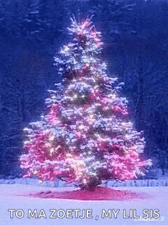 Christmas Christmas Tree GIF - Christmas Christmas Tree Spin GIFs