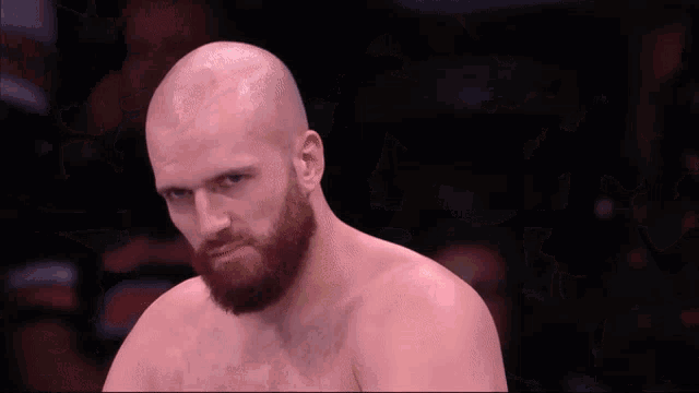 a bald man with a beard is standing in a dark room looking at the camera .
