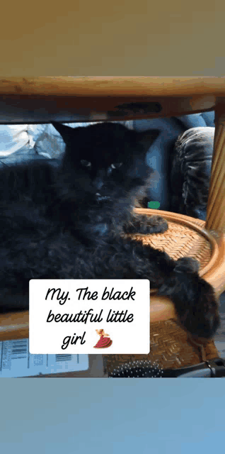 a black cat is laying on a wicker chair with a sign that says my the black beautiful little girl