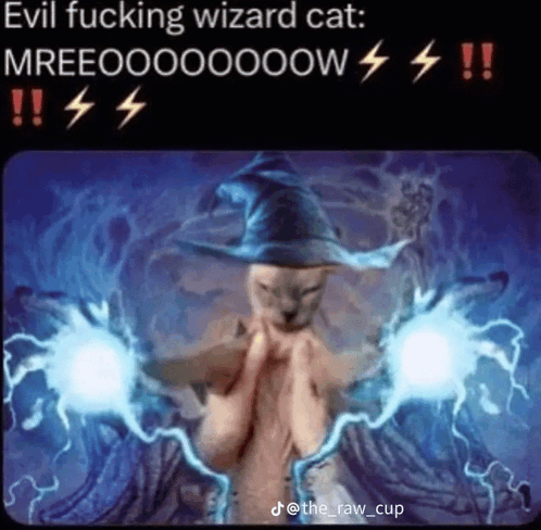Evil Fucking Wizard Cat GIF - Evil Fucking Wizard Cat GIFs