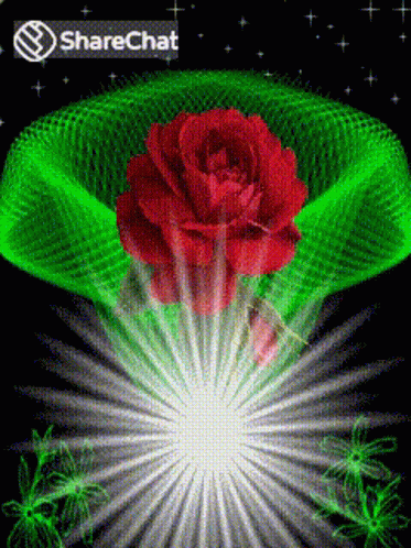 गुलाब चमकतातारा GIF - गुलाब चमकतातारा जगमगाहट GIFs