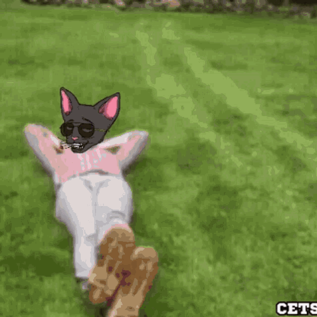 a cat wearing sunglasses is laying on the grass next to a pink golf cart