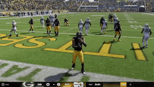 a football game is being played between pittsburgh and washington