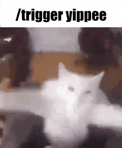 Trigger Yippee Yippee Cat GIF - Trigger Yippee Yippee Cat Cat GIFs