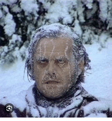 a close up of a man covered in snow .