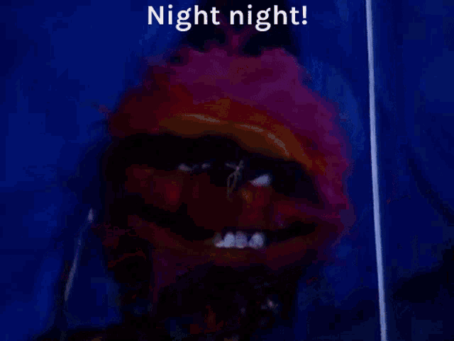 a stuffed animal is laying in a blue tent with the words night night written above it