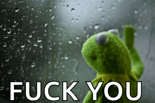 a kermit the frog is looking out a window with the words fuck you written below him