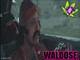 a man with a mustache is sitting in the back seat of a car with the words waldose behind him