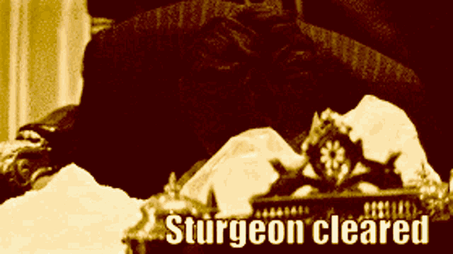 Sturgeon Cleared The Code GIF - Sturgeon Cleared The Code Snp GIFs