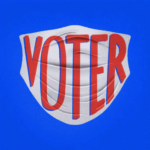 Voter Voting GIF - Voter Voting Vote GIFs