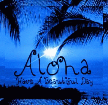 Vacation Aloha GIF - Vacation Aloha Have A Beautiful Day GIFs