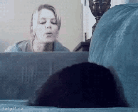 Who Was It Cats GIF - Who Was It Cats GIFs