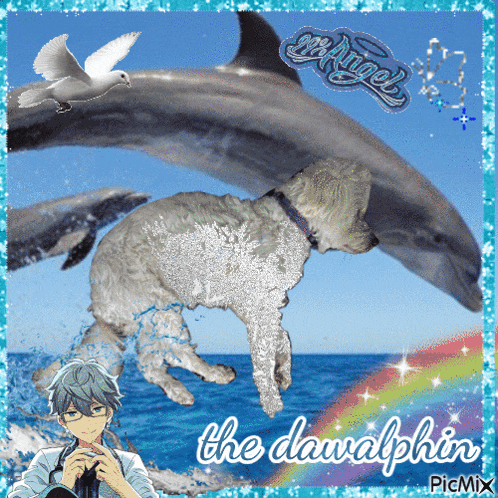 a picture of a dolphin and a dog with the name the davalphin on the bottom