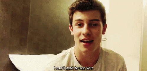 I Can'T Wait To See You Too! GIF - Shawn Mendes See You GIFs