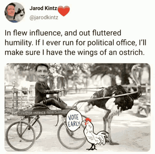 Surreal Humor GIF