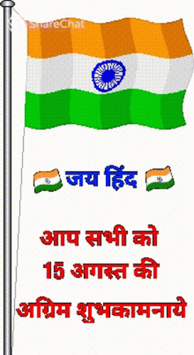 भारतीय झंडा GIF - भारतीय झंडा लहराता GIFs