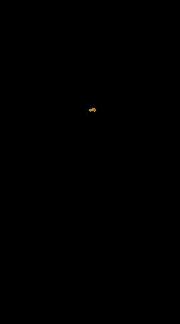 a black background with a red , white , and gold striped item .