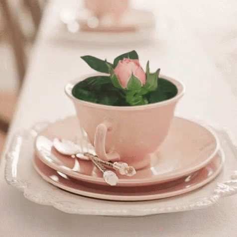 Tea Bloom GIF - Tea Bloom Flower GIFs