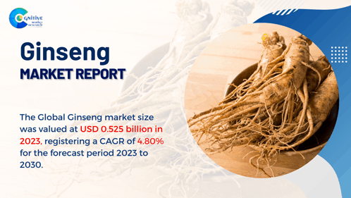 Ginseng Market Report 2024 GIF - Ginseng Market Report 2024 GIFs