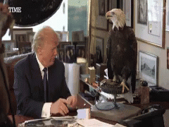 Trump Eagle GIF - Trump Eagle Politics GIFs
