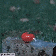 Tomato Explode GIF - Tomato Explode Explosion GIFs