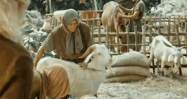 a woman is petting a goat in a fenced in area while a man looks on .
