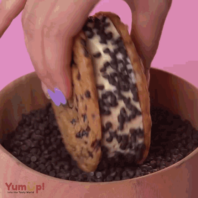 a person is dipping a cookie into a bowl of chocolate chips that says yum up on the bottom