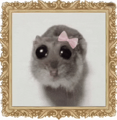 a hamster with a pink bow on its head is in a picture frame