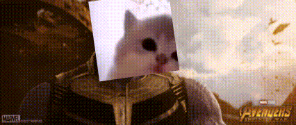 a cat is wearing a helmet with a picture of a cat on it 's head .