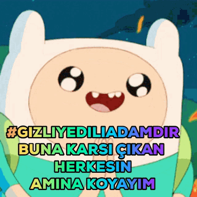 a picture of finn from adventure time with the caption #gizliyediliadimdir buna karsi cikan herkesin amina koyayim