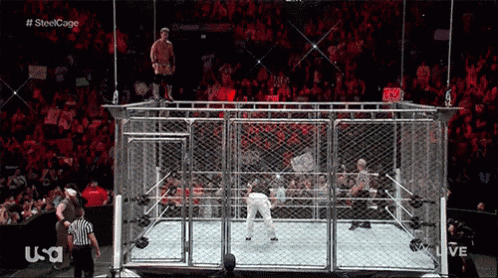 Steel Cage GIF - Wwe Jump Wrestling GIFs