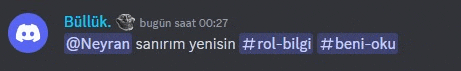 a screenshot of a discord conversation between a person and another