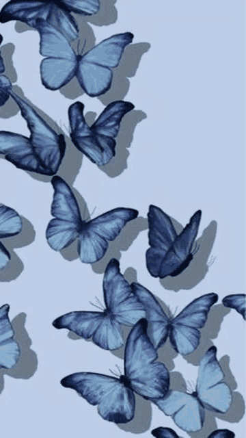 a bunch of blue butterflies flying in a circle on a blue background .