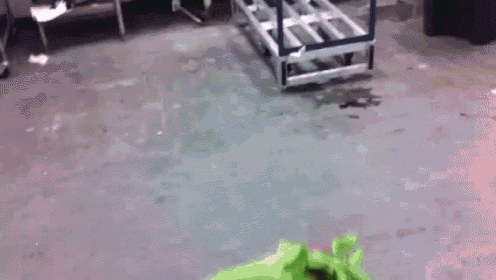 a person is standing in a room with a green bag on the floor .
