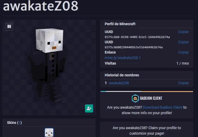 a screenshot of a person 's minecraft profile with the name awakatez08