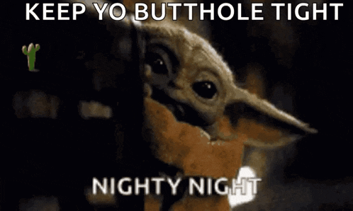 a picture of a cactus and the words keep yo butthole tight nighty night