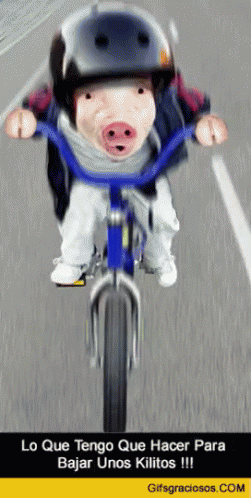Pig Biking GIF - Pig Biking GIFs