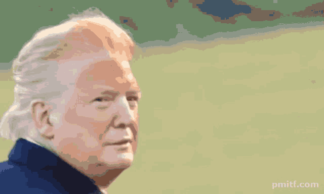 a close up of donald trump 's face with a blue shirt and white hair