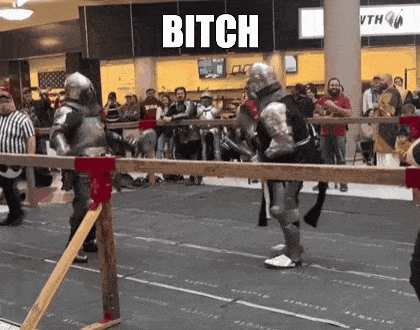two knights are fighting each other in front of a crowd and the word bitch is on the screen .