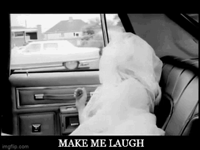 a black and white photo of a dog in a car with the words make me laugh