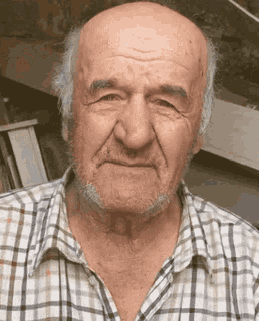 a bald man with a beard and a plaid shirt looks at the camera